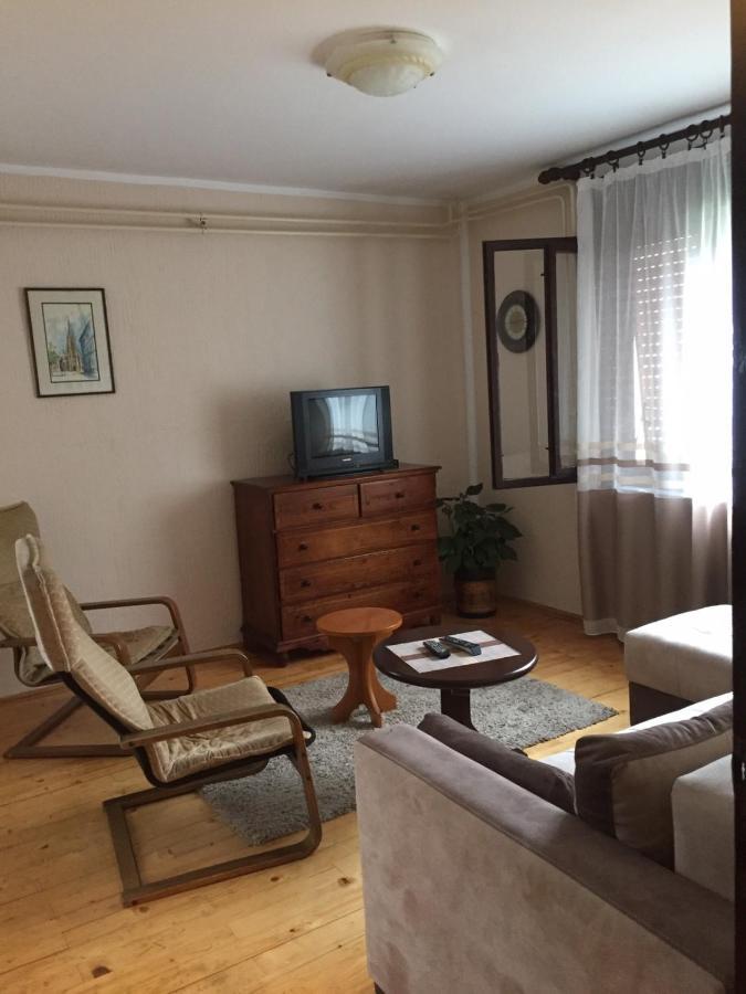 Rakic Apartman Баїна-Башта Екстер'єр фото