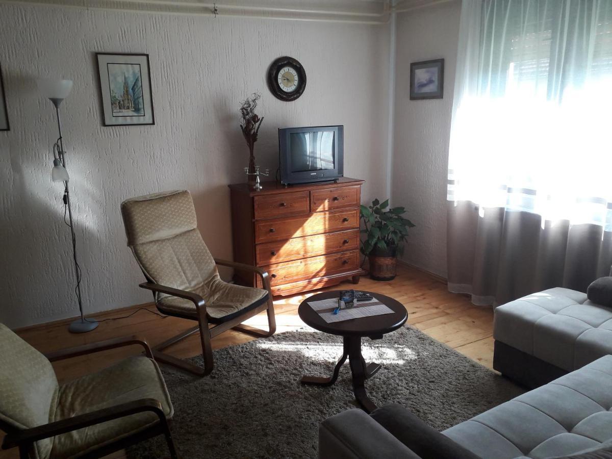 Rakic Apartman Баїна-Башта Екстер'єр фото
